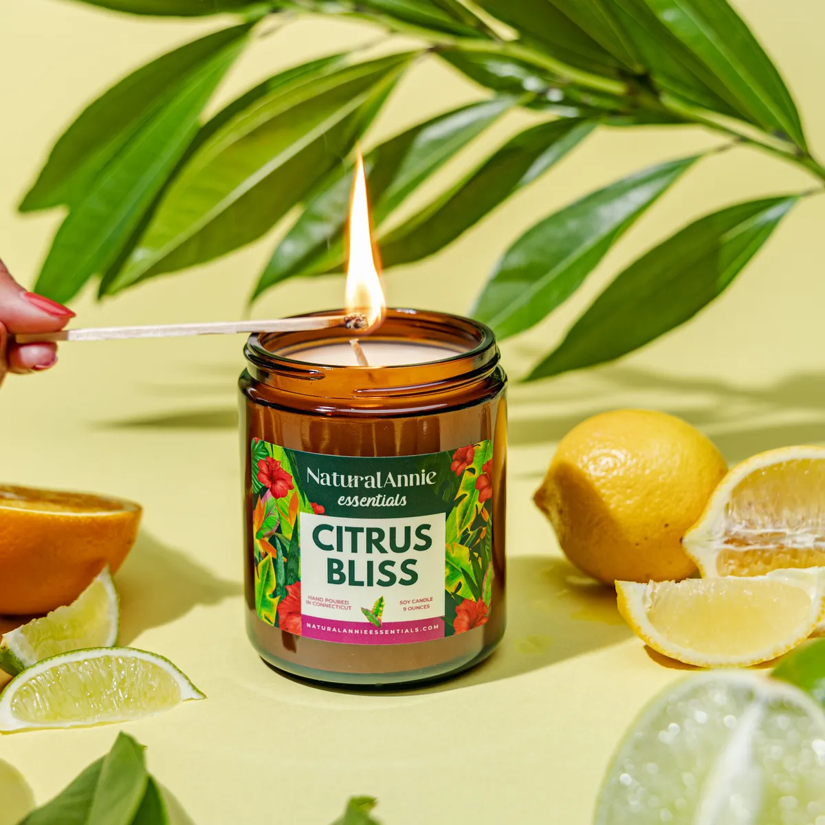 2 Pack - 4oz Tropical Signature Collection Soy Candle Bundle