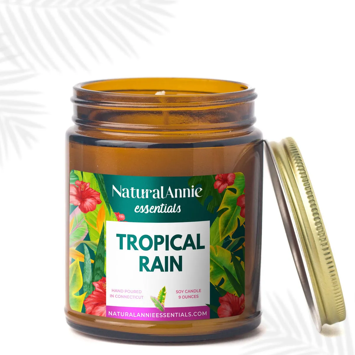 2 Pack - 4oz Tropical Signature Collection Soy Candle Bundle