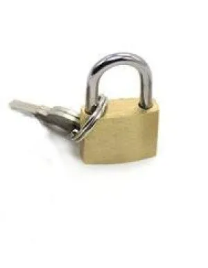8983DL      Brass Bondage Gear Padlock