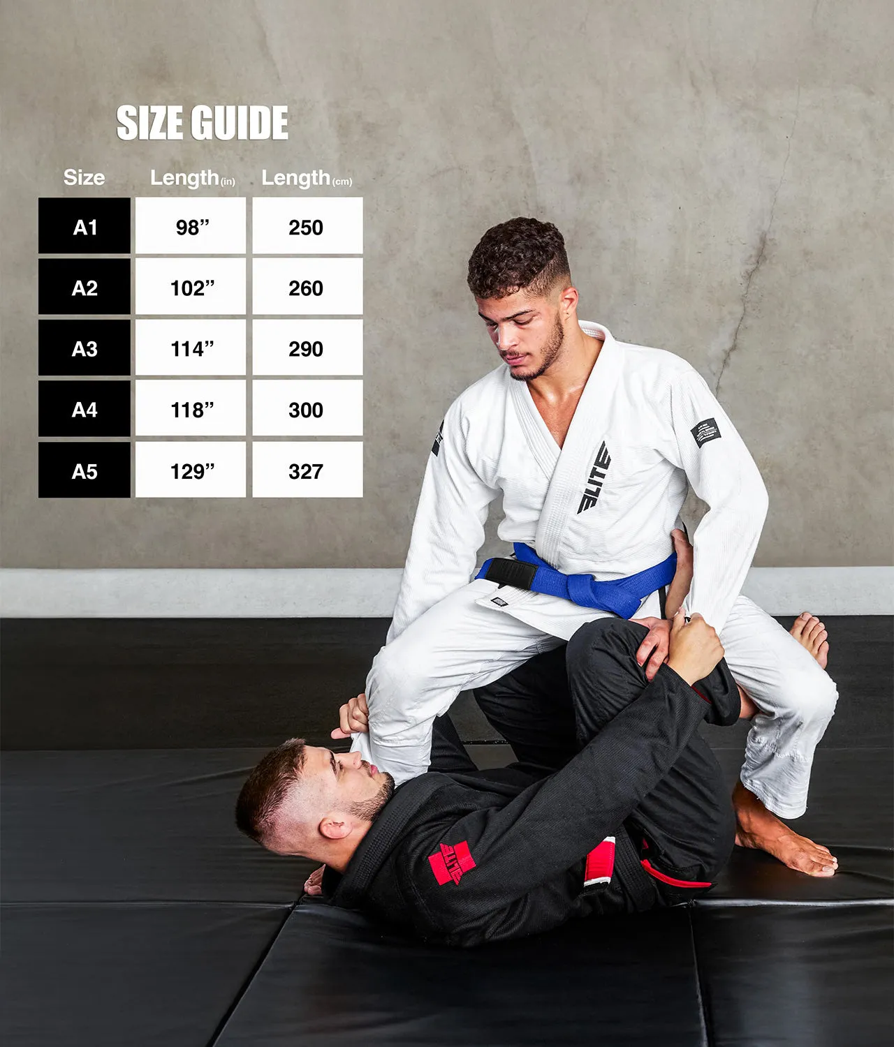 Adults' Brazilian Jiu Jitsu BJJ Blue Belt