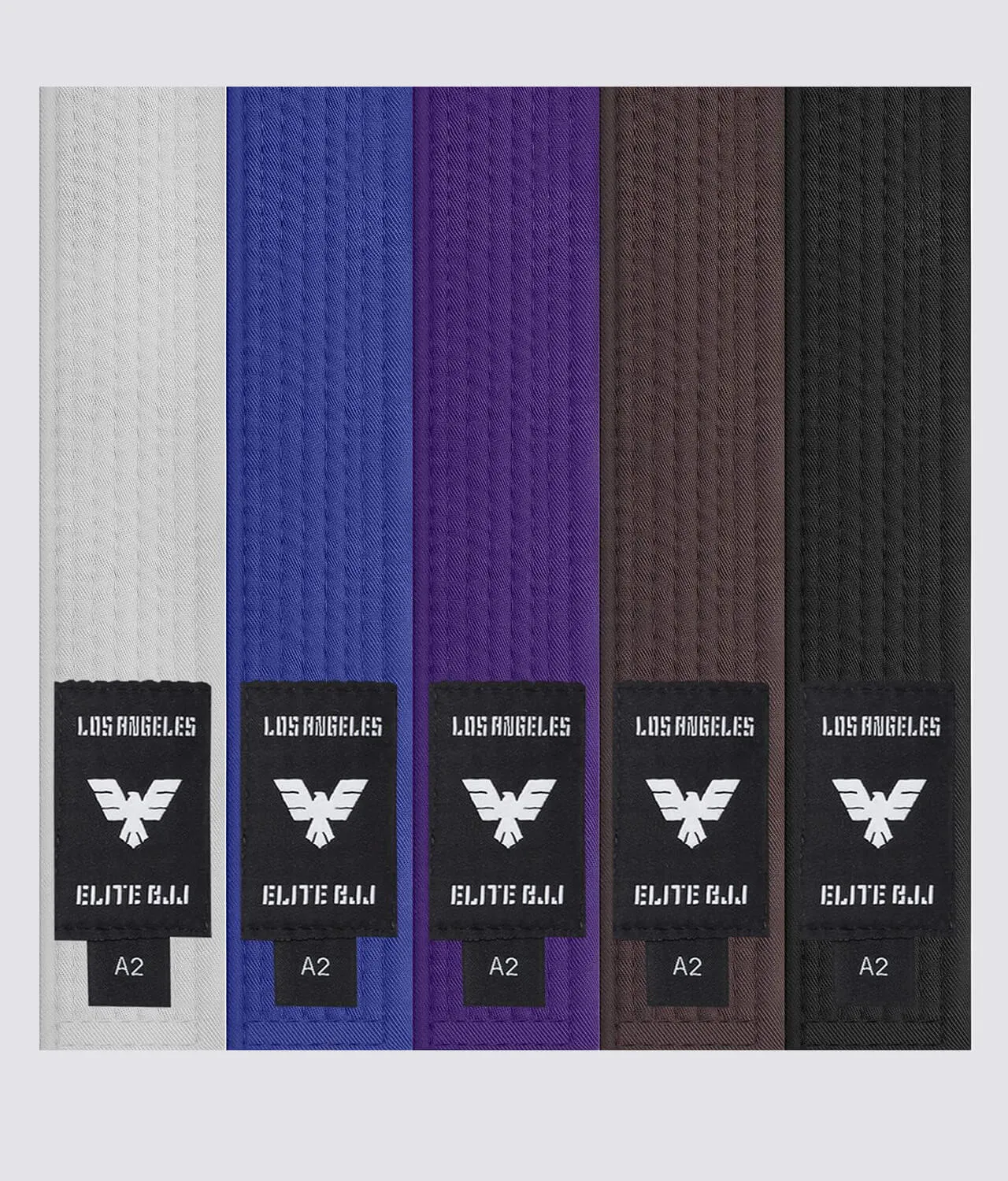 Adults' Brazilian Jiu Jitsu BJJ Blue Belt