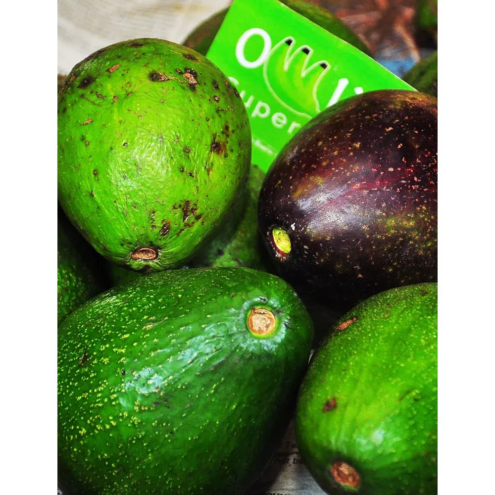 Avocado (Produce of Uganda)