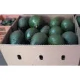 Avocado (Produce of Uganda)