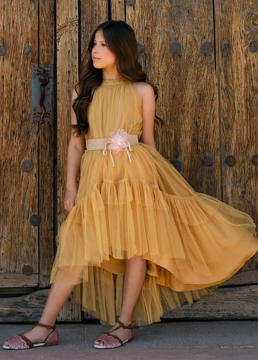Calliana Belt in Shell/Tan