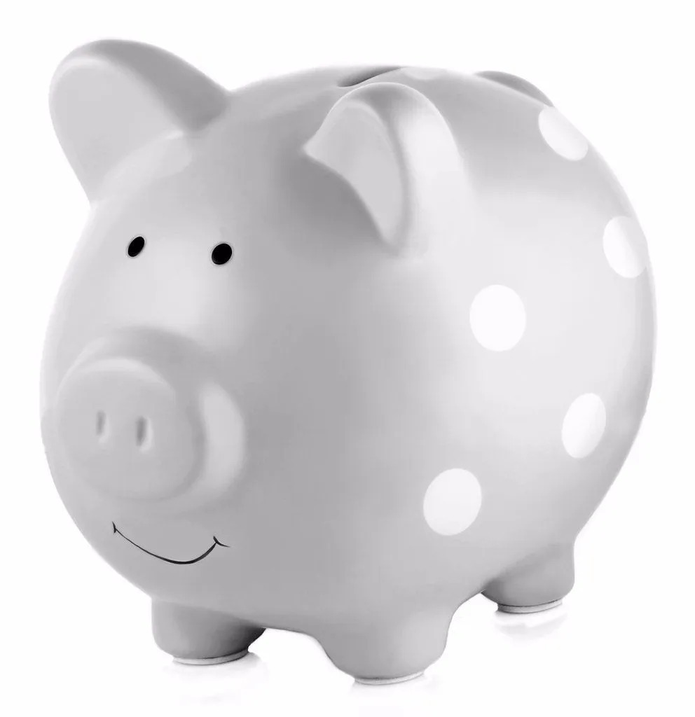 Ceramic Piggy Bank Grey