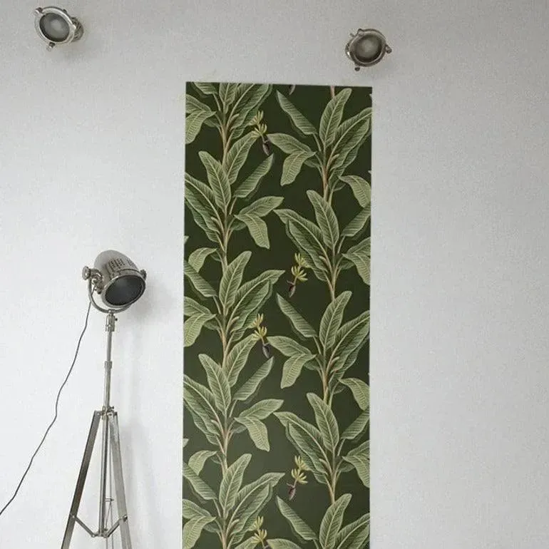 Dark Green Banana Tree Wallpaper
