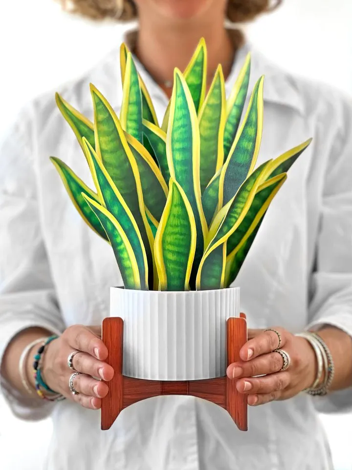 FreshCut Paper | Snake Plant