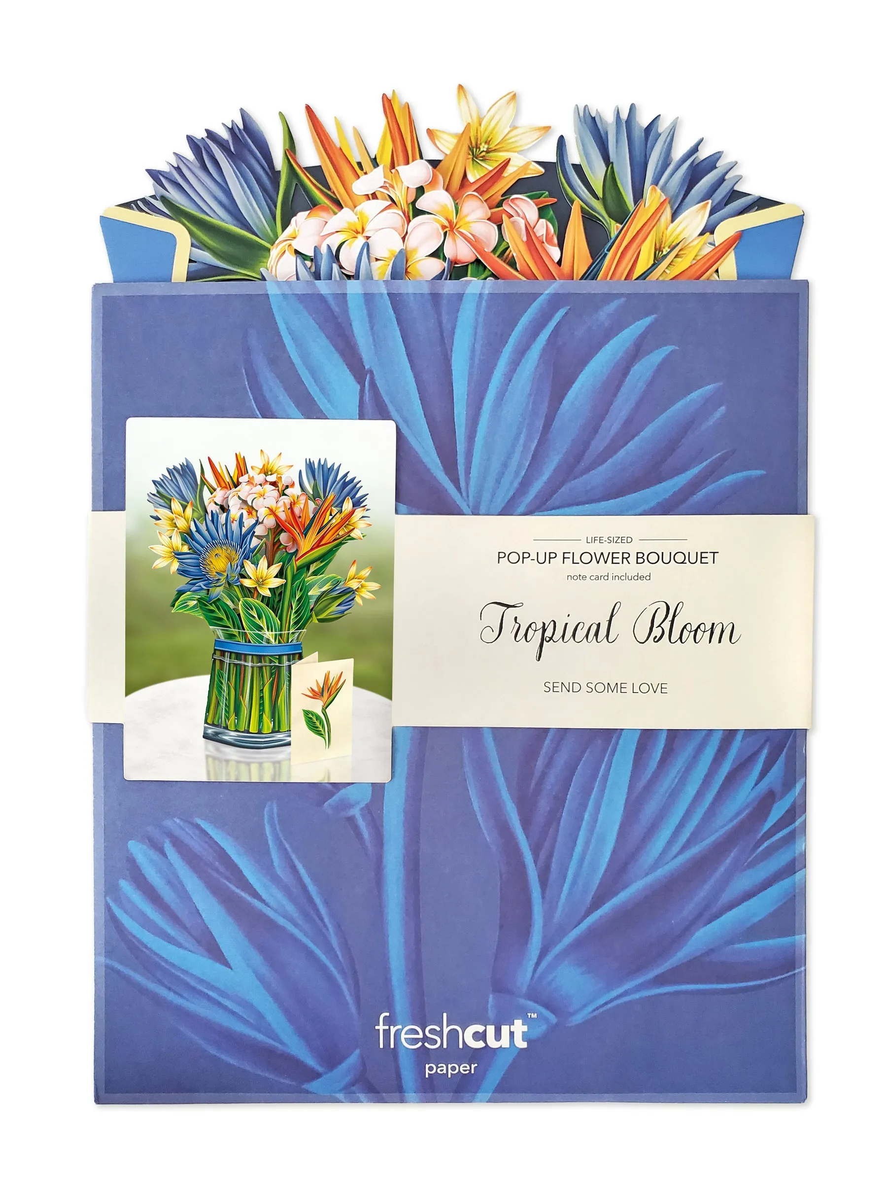 FreshCut Paper | Tropical Bloom