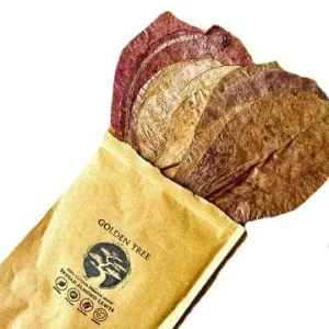 Golden Tree Premium Indian Almond Leaves (Catappa) - 50g