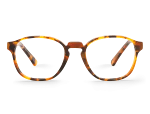 HAVANA - MANION - ACETATE