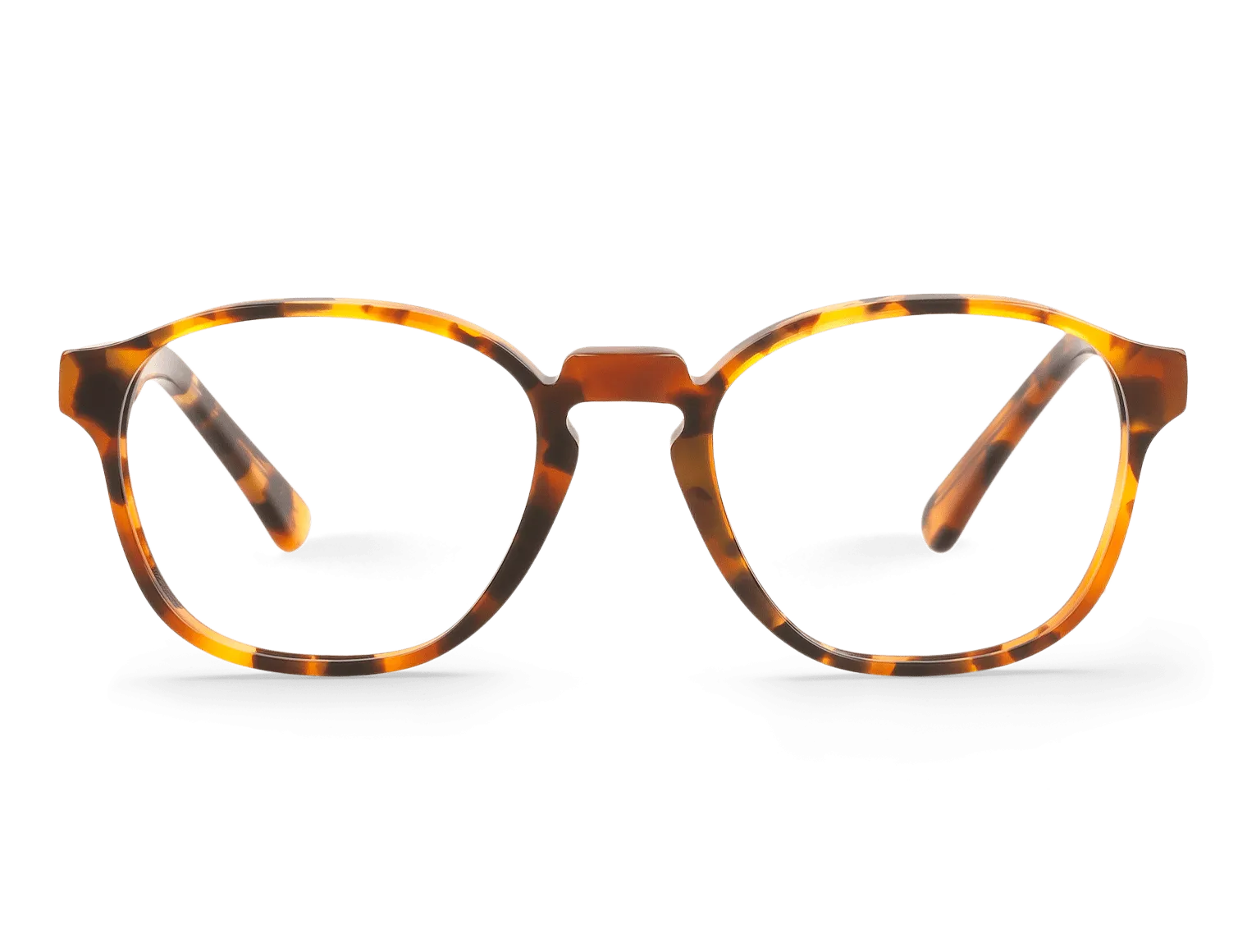 HAVANA - MANION - ACETATE