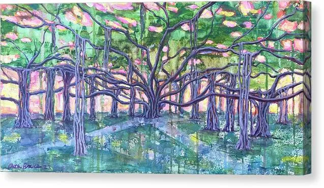 Lahaina Banyan  - Canvas Print