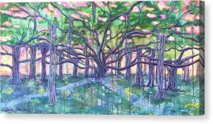 Lahaina Banyan  - Canvas Print