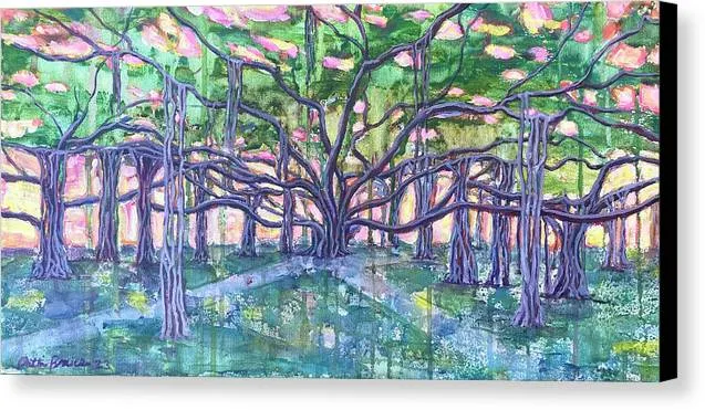 Lahaina Banyan  - Canvas Print