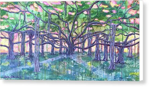 Lahaina Banyan  - Canvas Print
