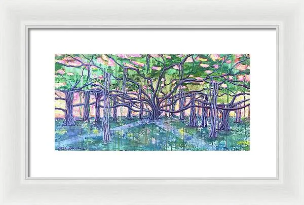 Lahaina Banyan  - Framed Print