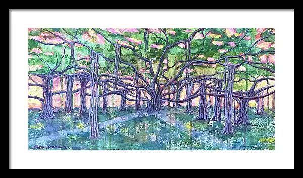 Lahaina Banyan  - Framed Print