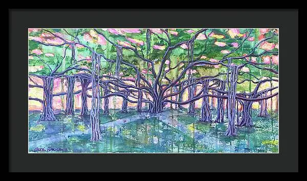 Lahaina Banyan  - Framed Print