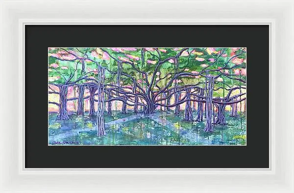 Lahaina Banyan  - Framed Print