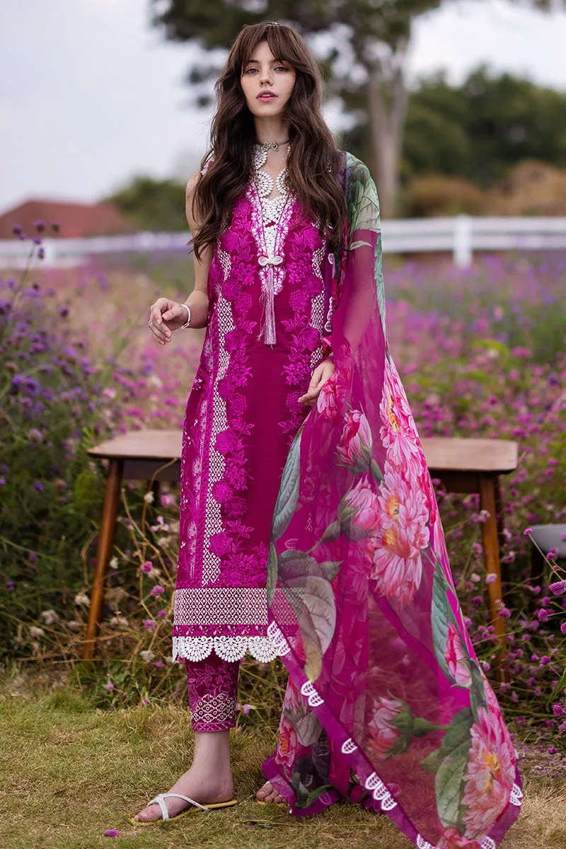 MUSHQ | THE SECRET GARDEN | FAIRY DELL