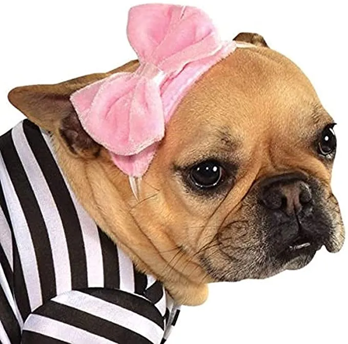 New Rubies Costume Co Halloween Classics Collection Pet Costume, Medium, 50s Girl Dress