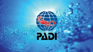 PADI Basic Scuba Diver Certification