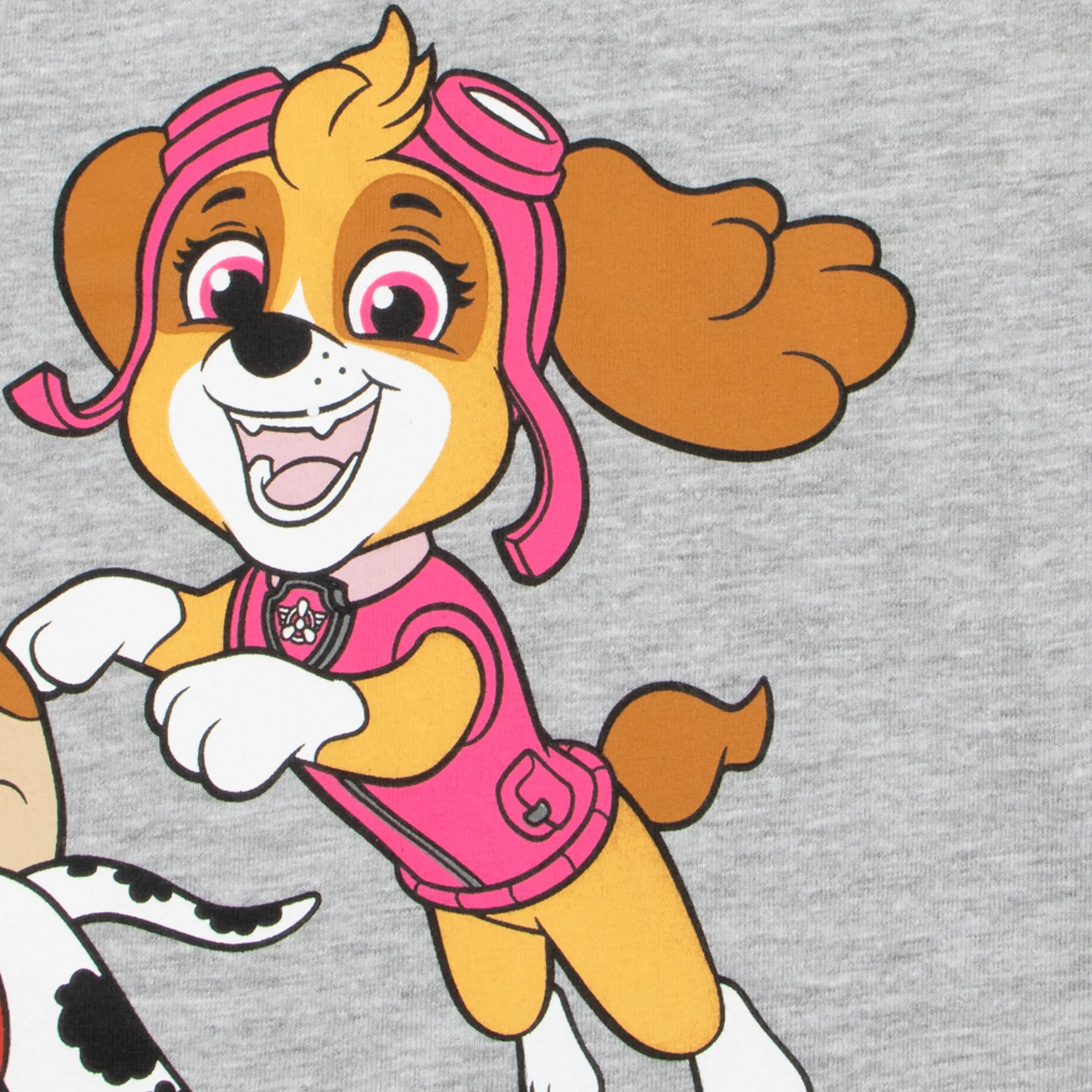 PAW Patrol Tshirt and Shorts Set