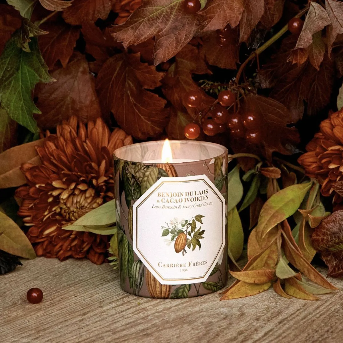 Scented Candle in Cocoa