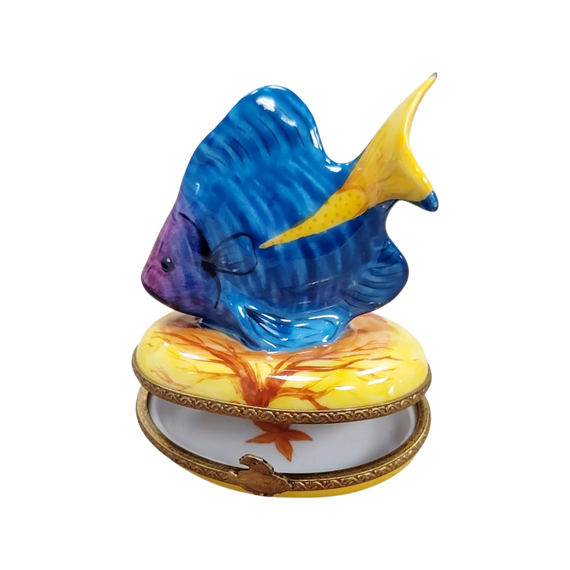 Tropical Fish