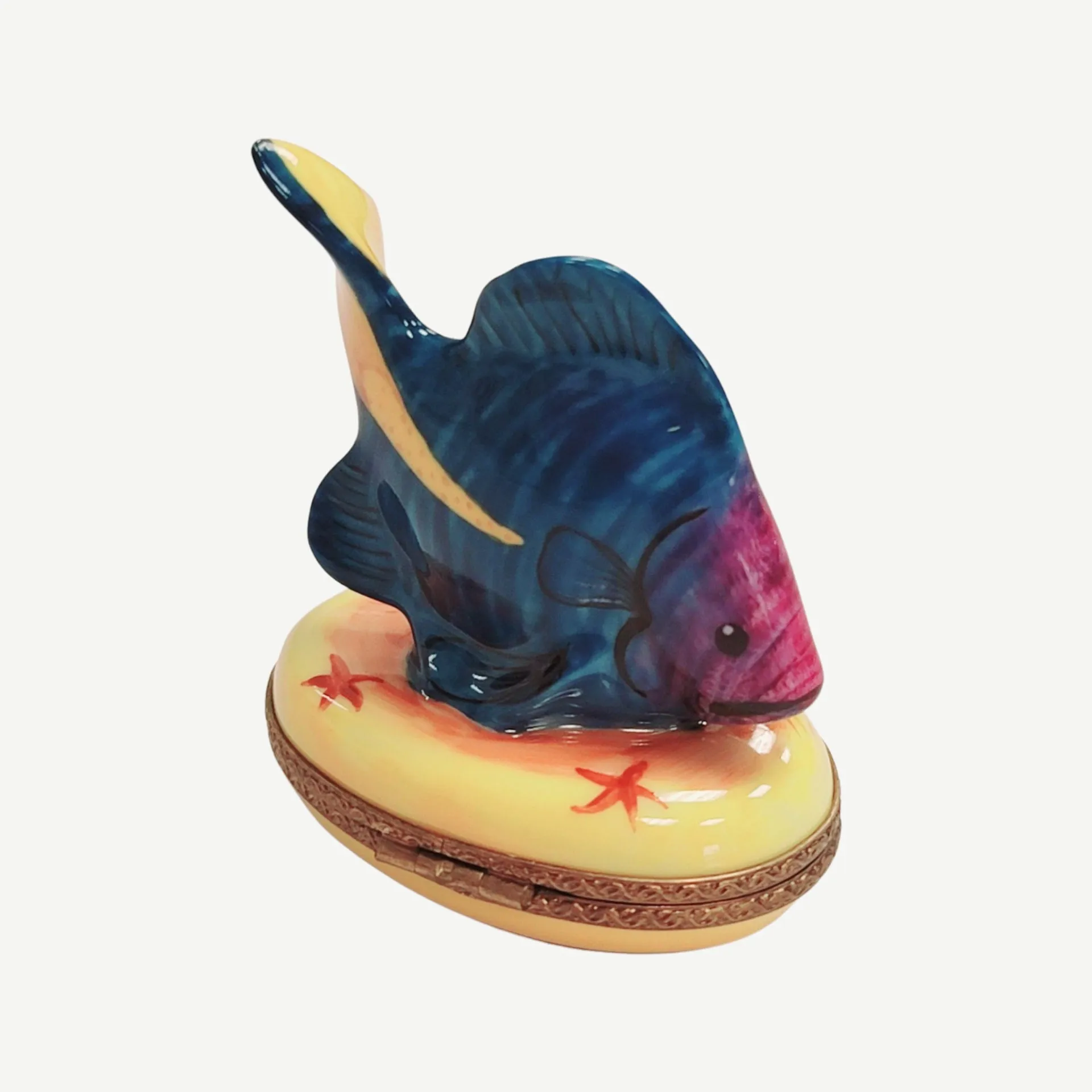 Tropical Fish