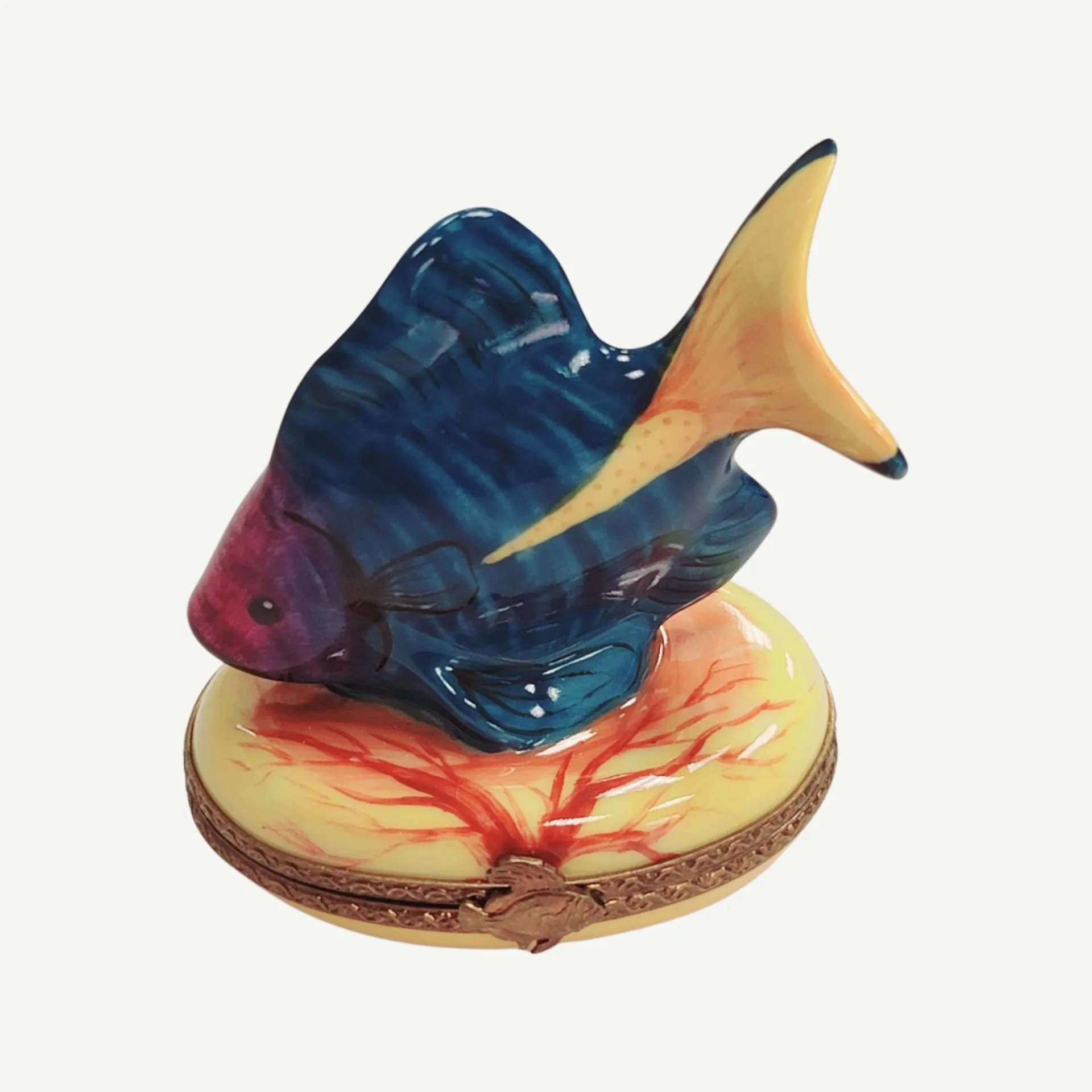 Tropical Fish
