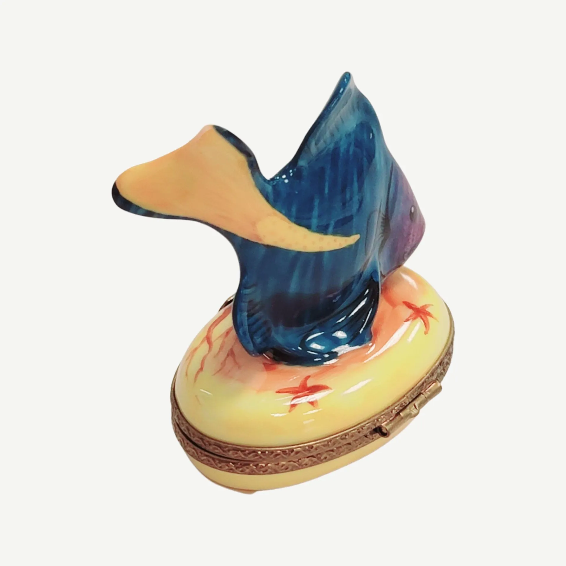 Tropical Fish