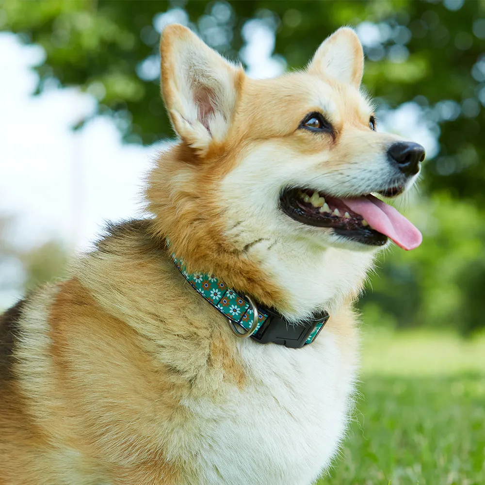 Tropical Santa - Dog Collar