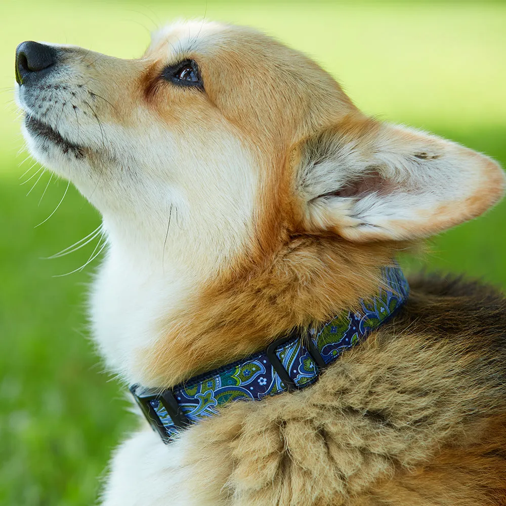 Tropical Santa - Dog Collar
