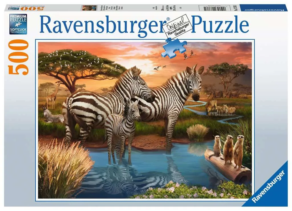 Zebras at Waterhole - 500pc